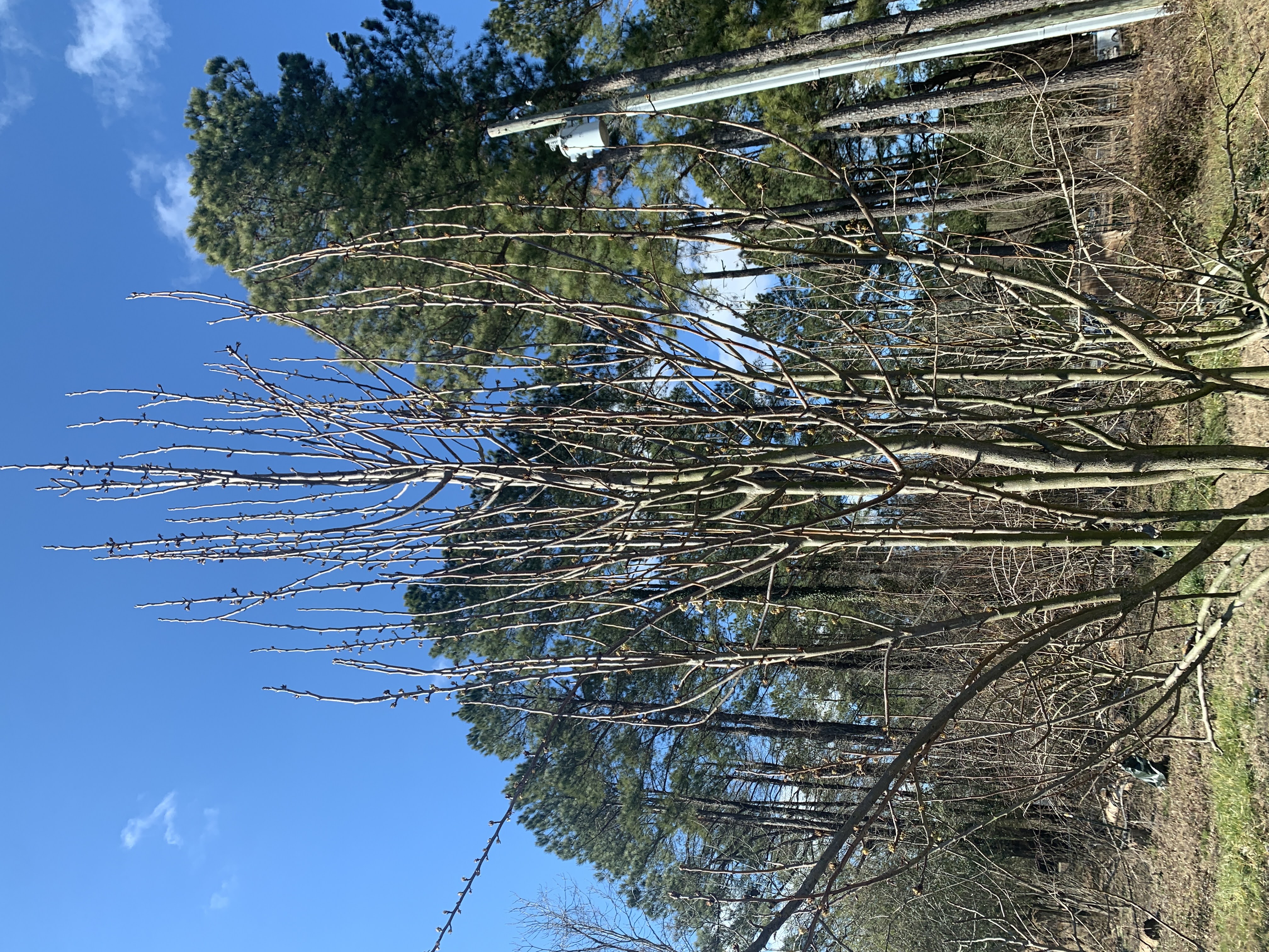 Winter Work
